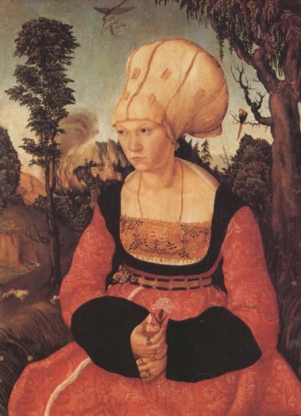 Lucas Cranach the Elder Anna Putsch,First Wife of Dr.johannes (mk45)